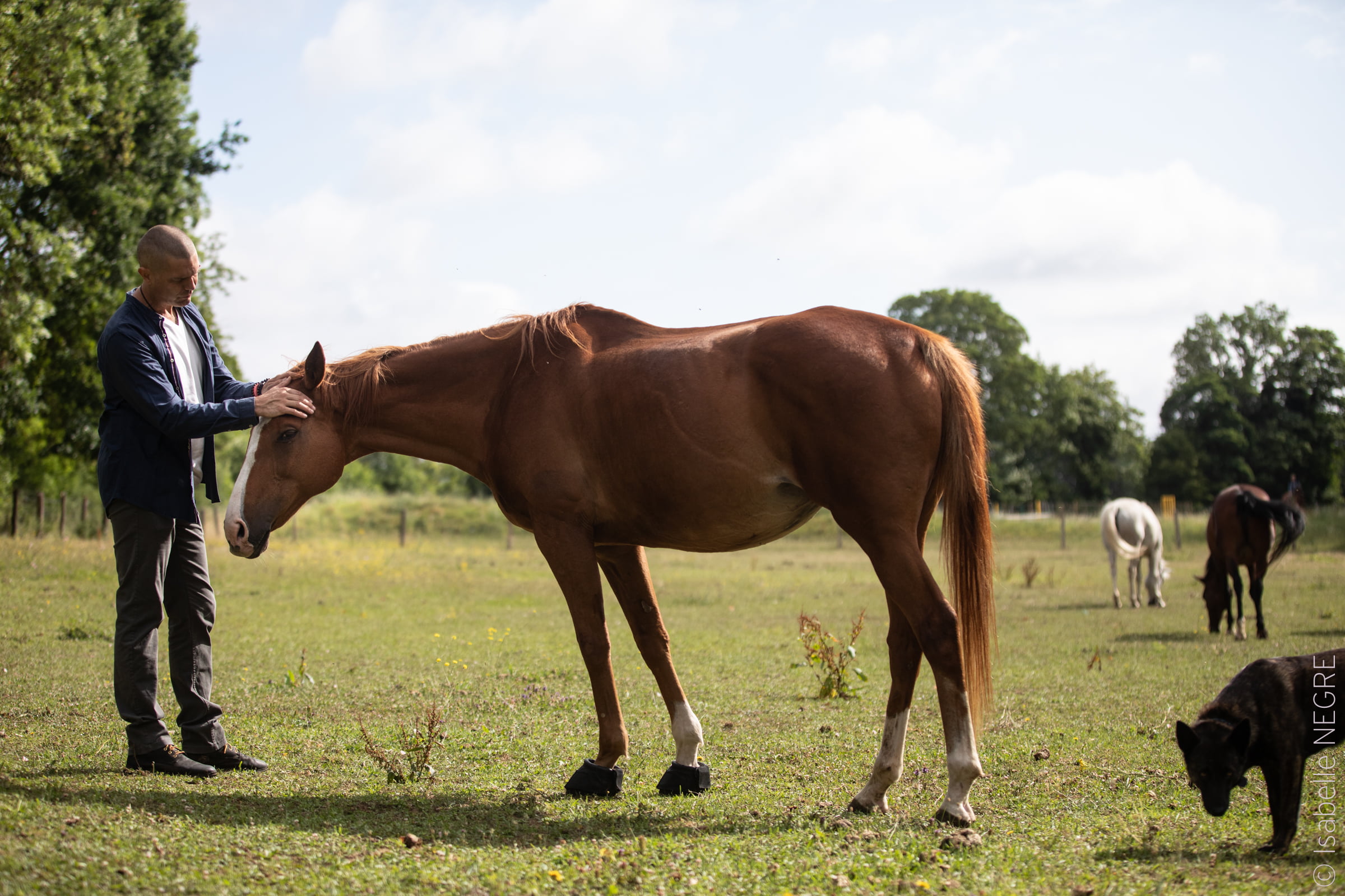 Thibault et son cheval communiquent