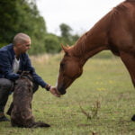 thibault a genoux et cheval