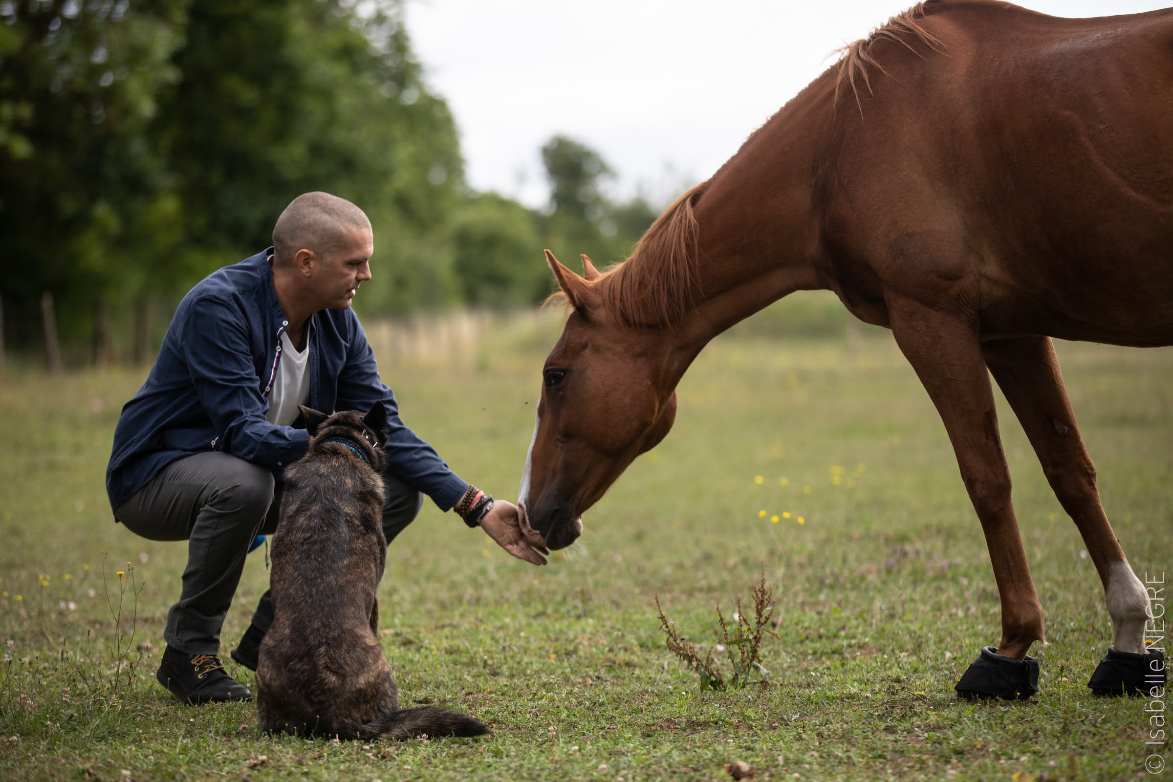 thibault a genoux et cheval