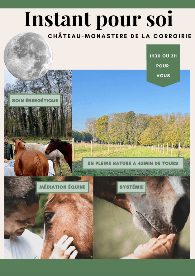 Atelier de soin et de thérapie en Touraine au milieu des chevaux Instant pour soi